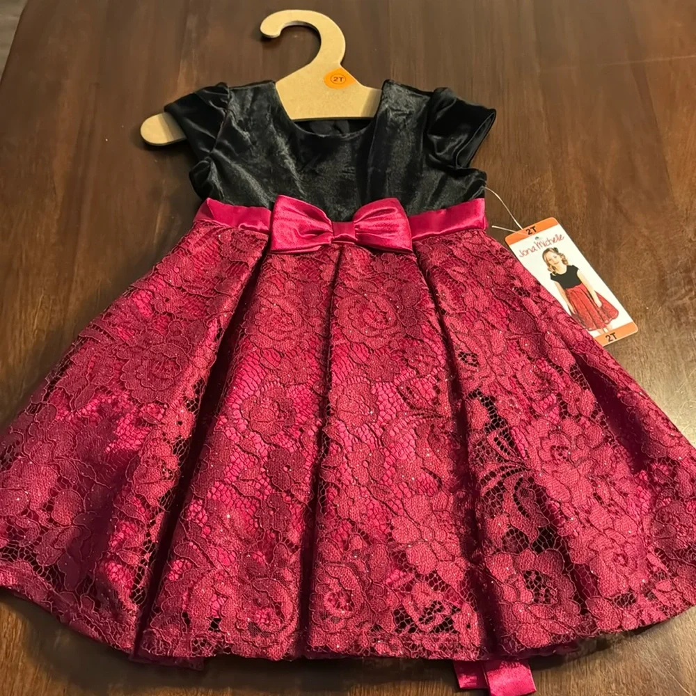 Size 2T Dress NEW WITH TAGS - Picture 1 of 3